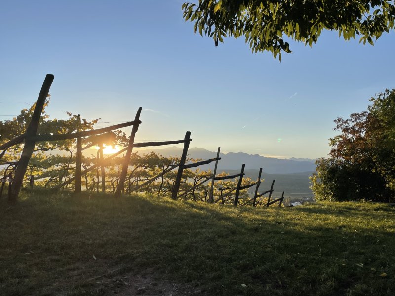 Weingut