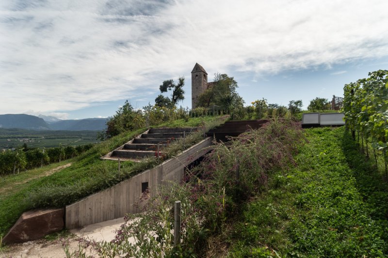 Weingut