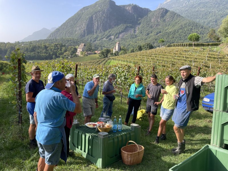 Tenuta vinicola