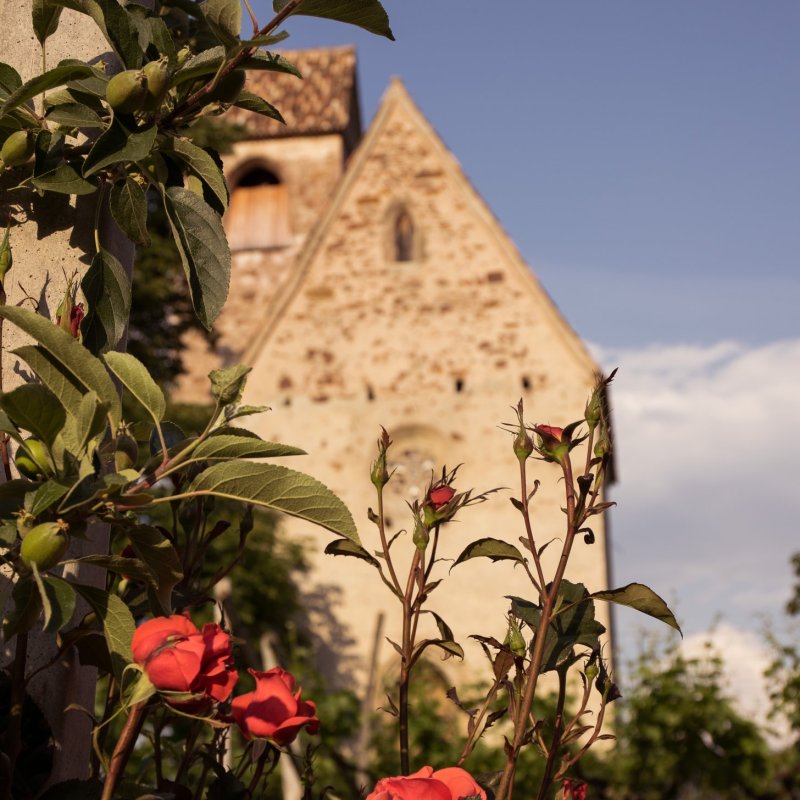 Zu Gast im Schloss